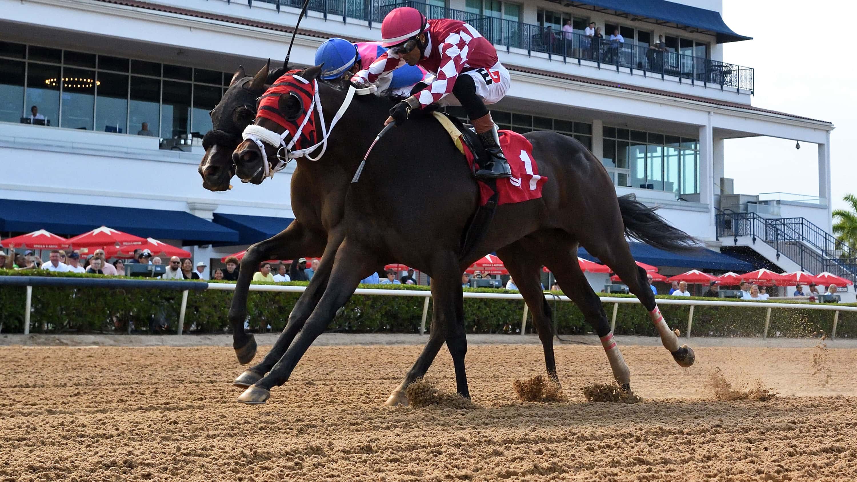 Winplaceandshow Determined Winner of $100,000 Azalea