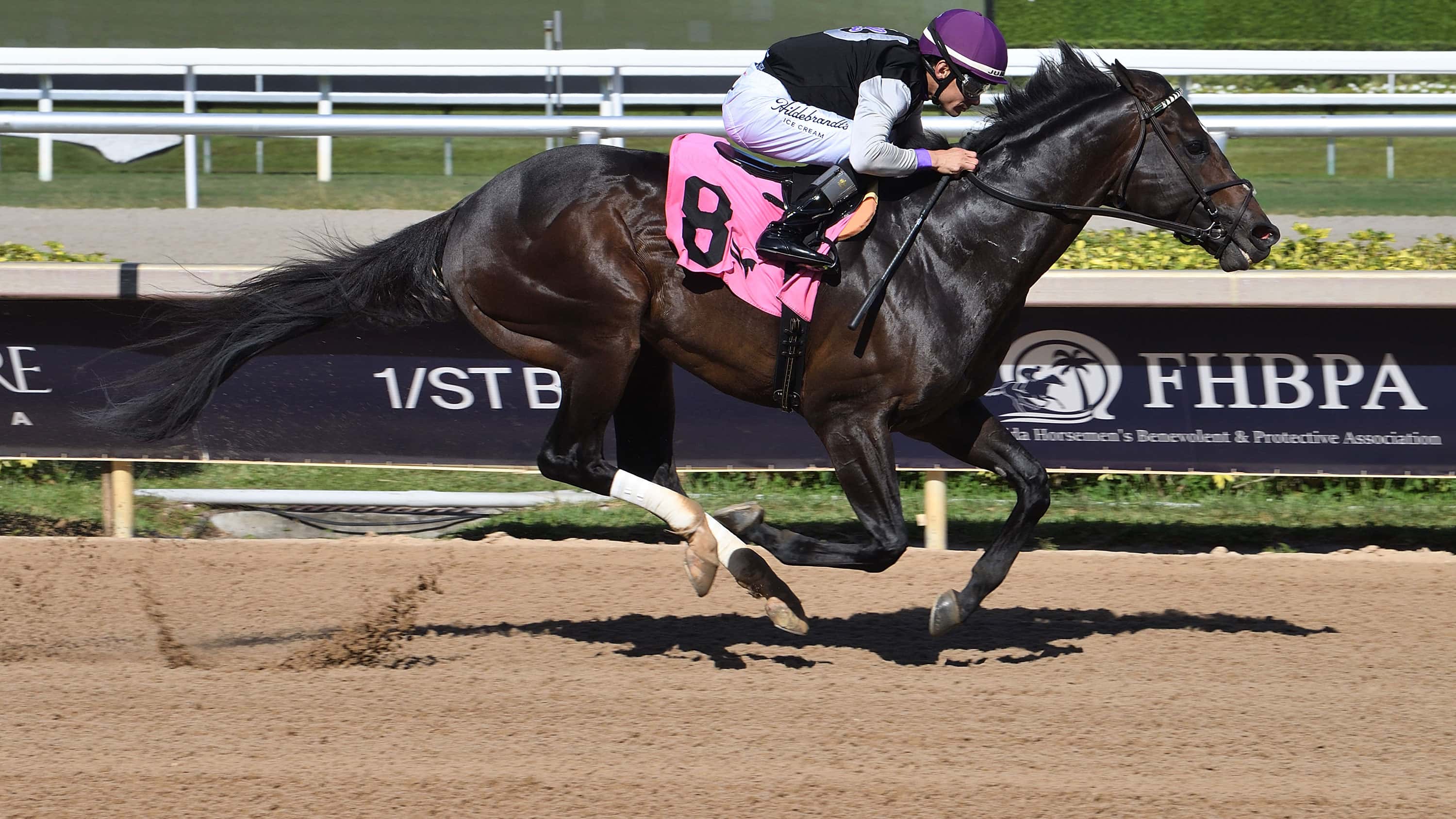Damon’s Mound Too Tough in $100,000 FHBPA Sprint