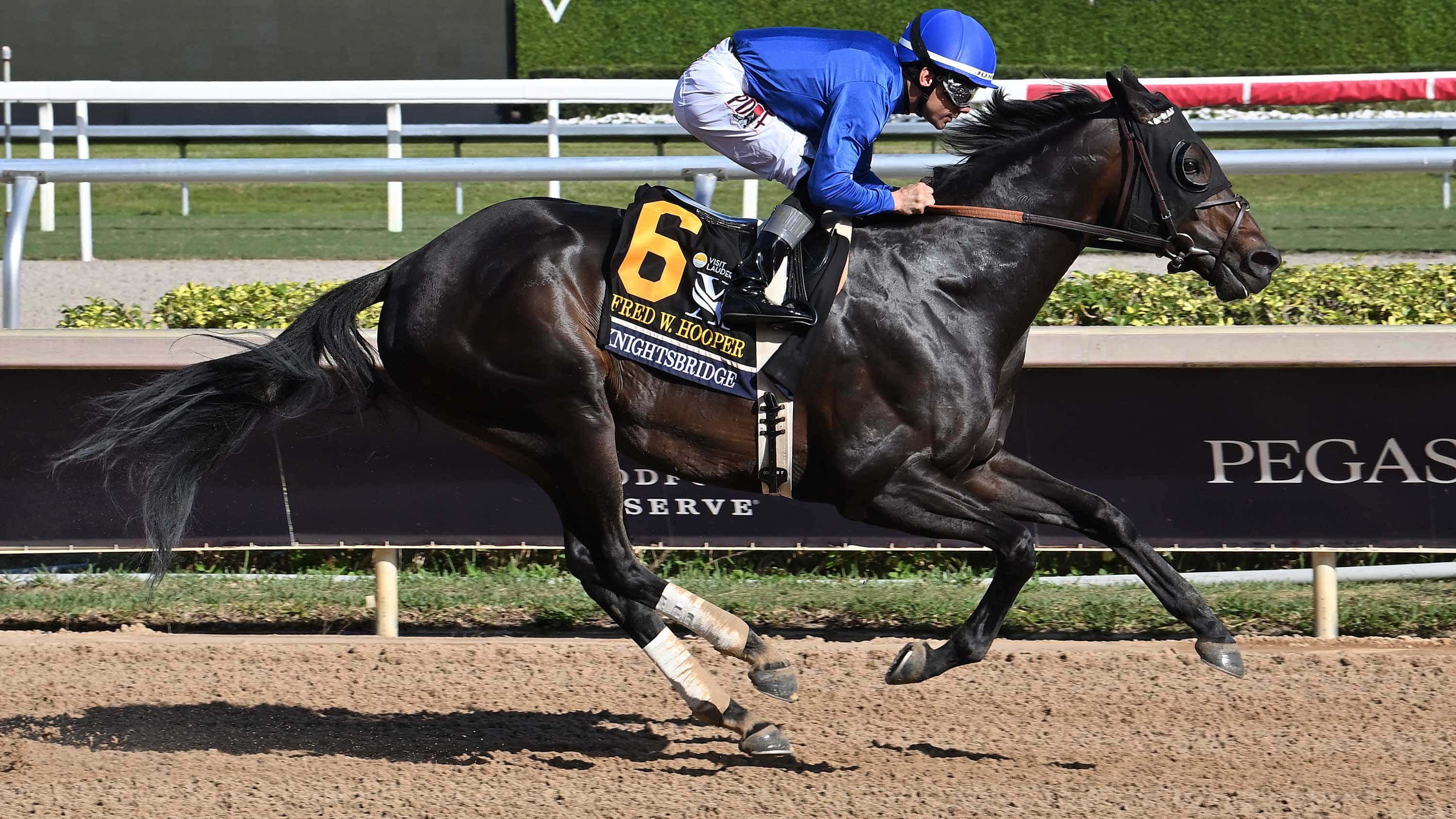 Gulfstream Park Well-Represented at Breeders’ Cup