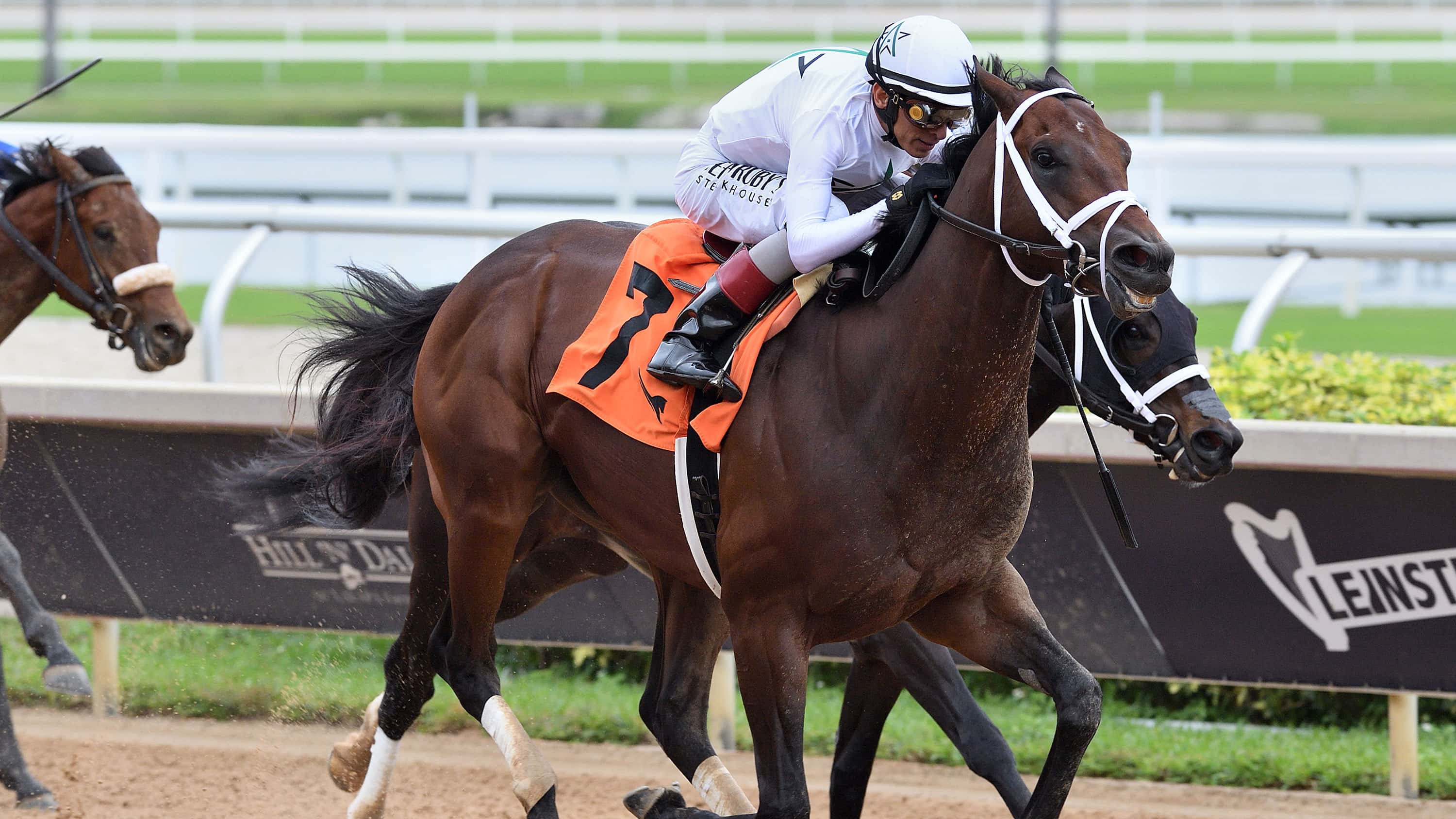 Undefeated Trio Tops Fountain of Youth (G2) Nominations