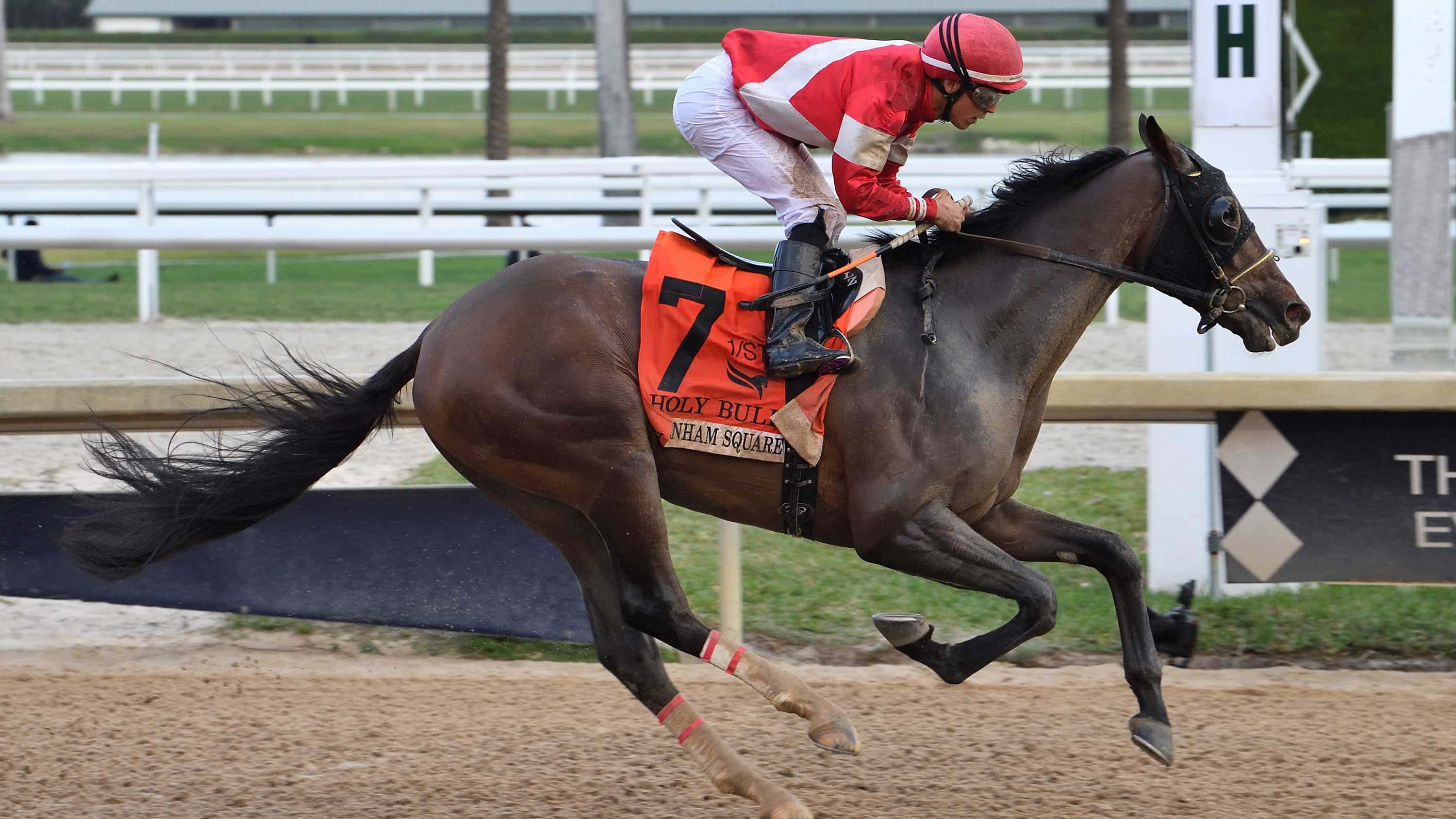 Burnham Square Tops Field of 8 for G2 Coolmore Fountain of Youth