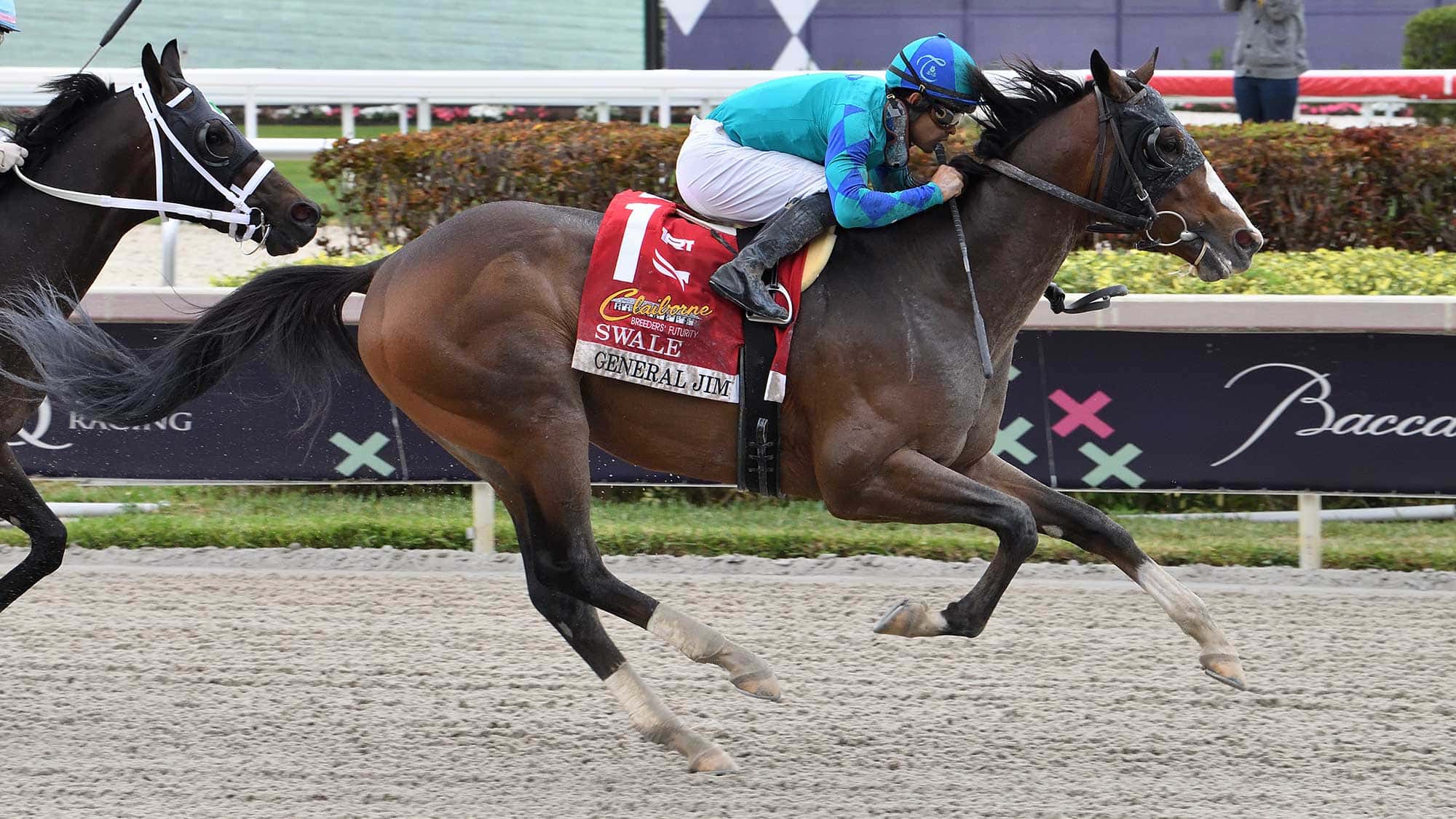 General-Jim-the-Swale-