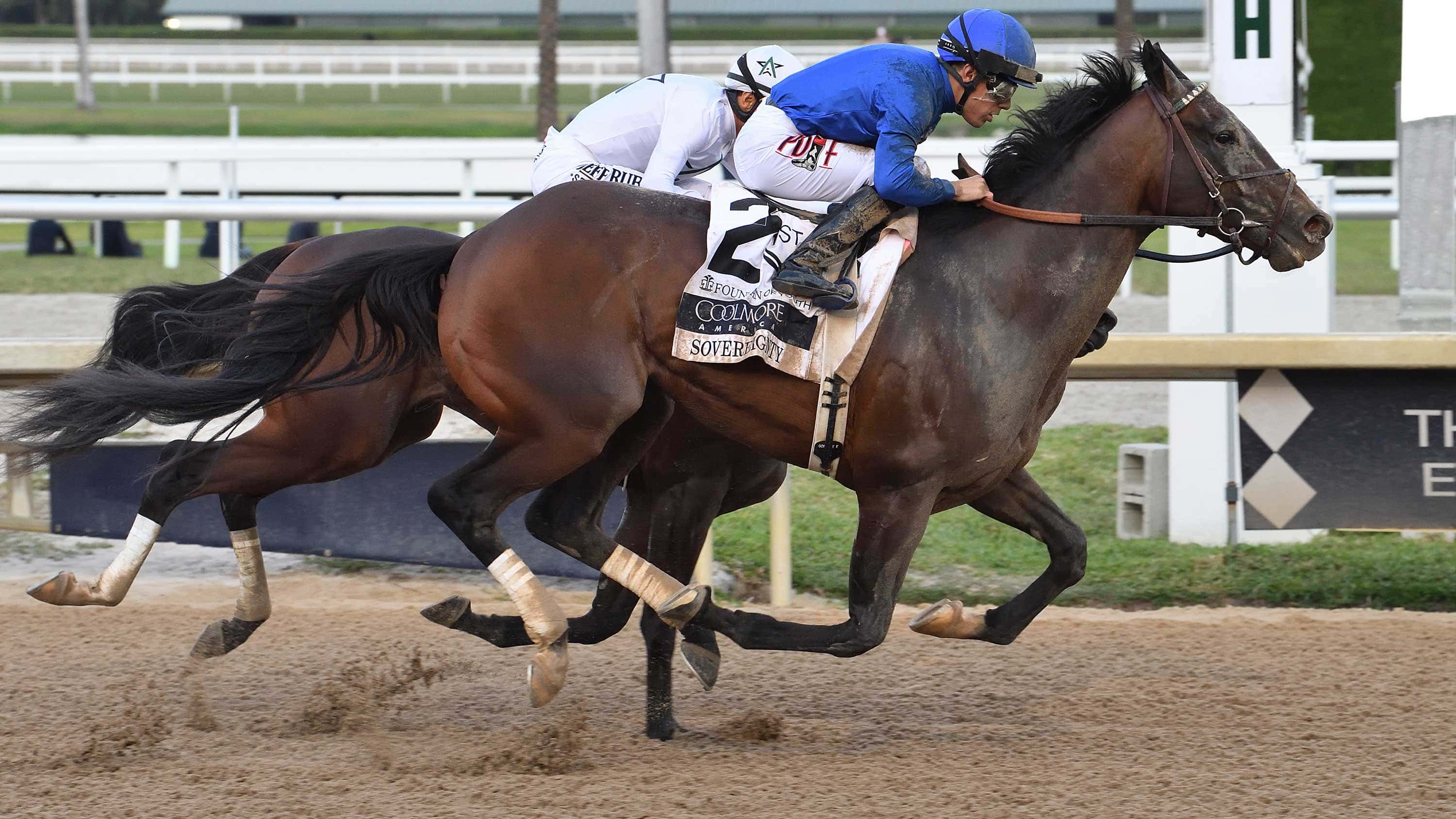 Sovereignty Rules in $415,000 Coolmore Fountain of Youth