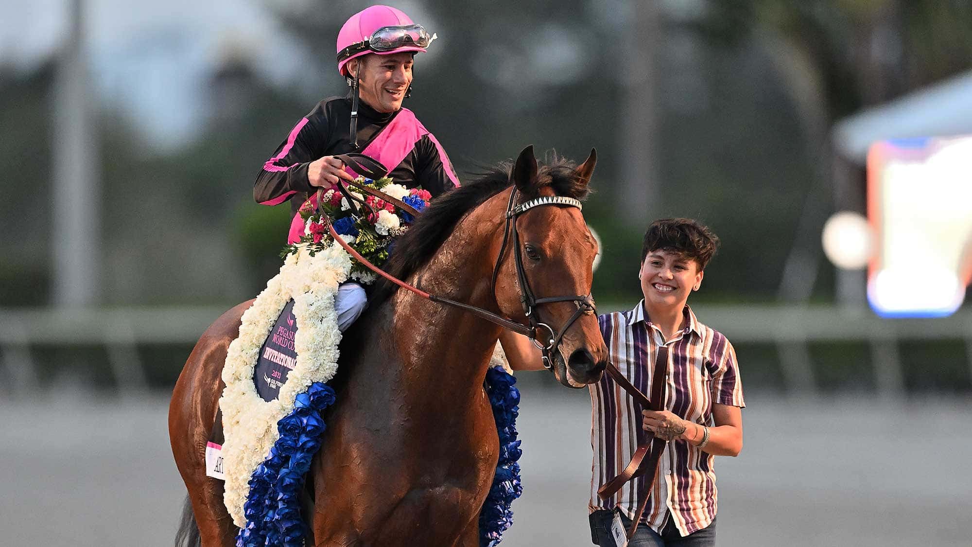 Art-Collector-the-Pegasus5