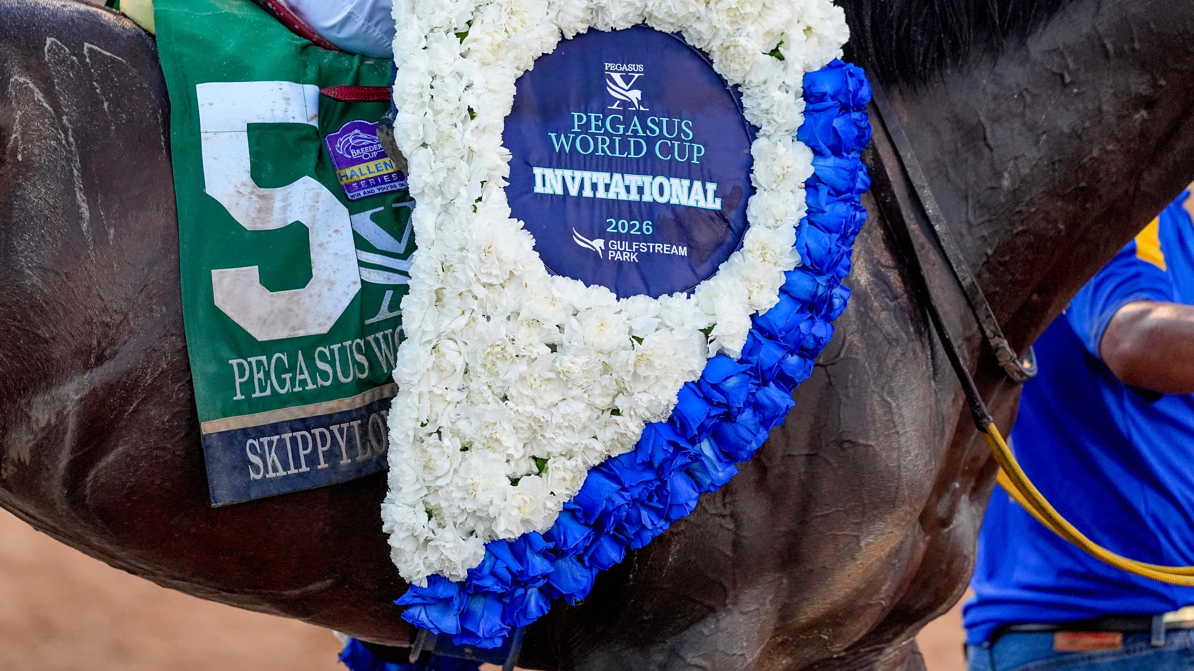 Mandatory Rainbow 6 Returns $71,527