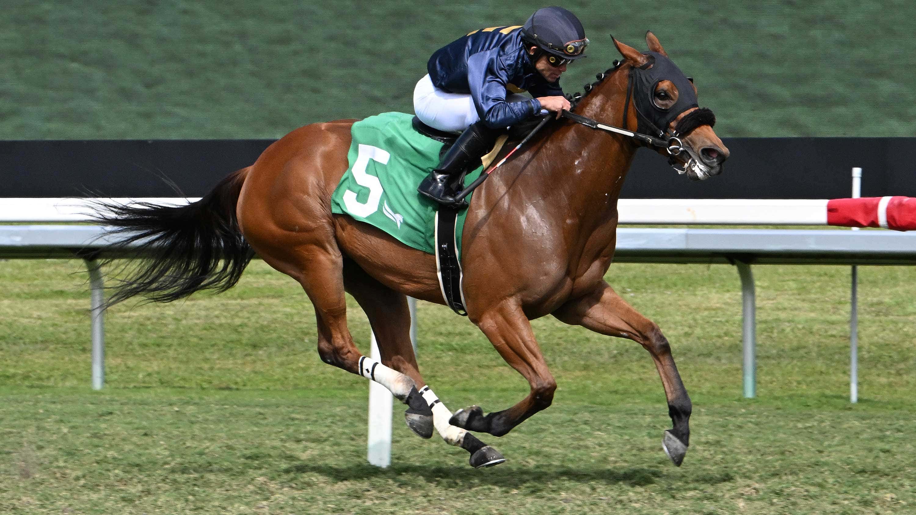 Epona’s Hope Extends Streak in $115,000 Captiva Island